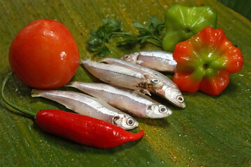 Manjuba, saltwater fish used in caiçara moqueca
