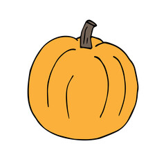 Vector hand drawn doodle sketch colored pumpkin isolated on white background