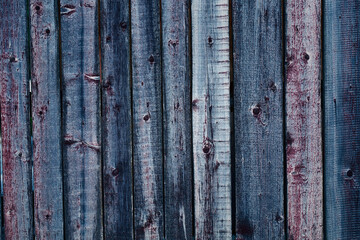 The grunge gray texture of wood with scuffs and inclusions. Image of a natural aged fence