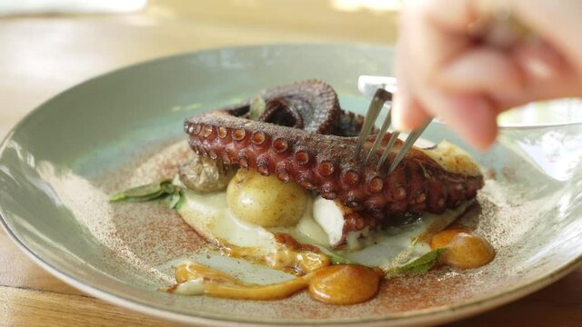 Female hands cutting grilled octopus tentacle with fork and knife, slow motion. Close up of a delicious seafood plate in a restaurant. Eating out yummy BBQ food. Barbecue lover enjoying healthy lunch