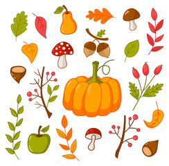autumn set with pumpkins, apples, mountain ash, rosehip, mushrooms