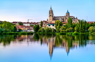 Fototapeta na wymiar Salamanca Cathedral reflecting in the Tormes river in Spain
