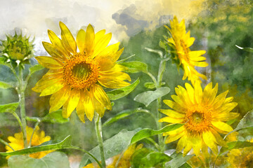 Digital-Aquarellmalerei der schönen Landschaftsbildansicht der Sonnenblume in einem Feld, Japan