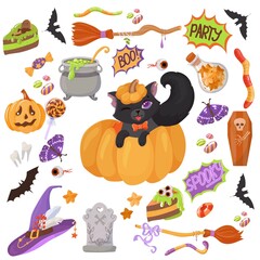 Fototapeta na wymiar Black kitten. Candy, costumes, magical and creepy items. A large set of Elements for the celebration of Halloween. Vector illustration isolated on white background.