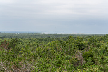 Fototapeta na wymiar Ocean View Landscape Panorama 