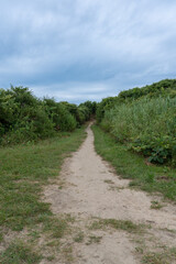 Fototapeta na wymiar Sandy Beach Path