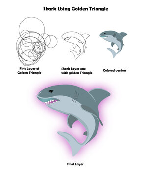 Shark Illustration for Tshirt and Logo 