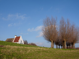 Obraz premium Dike along the IJssel river, Welsum, Overijssel province, The Netherlands