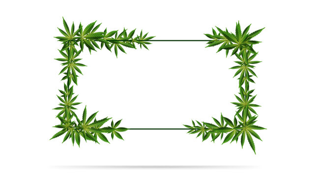 Horizontal frame of green cannabis leaves. Template of frame decorated with cannabis leaves isolated on a white background