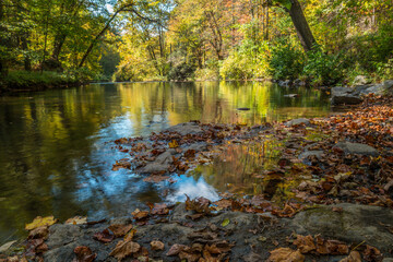 Fototapeta na wymiar Creek in the autumn woodlands