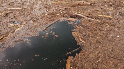 lake water completely covered with woods and trees uprooted by floods and rainstorms - climate...