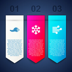 Set Cone meteorology windsock wind vane, Snowflake and Wind. Business infographic template. Vector