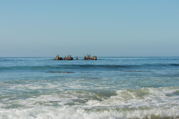 Naklejka premium Laguna Beach