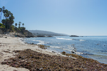 Laguna Beach