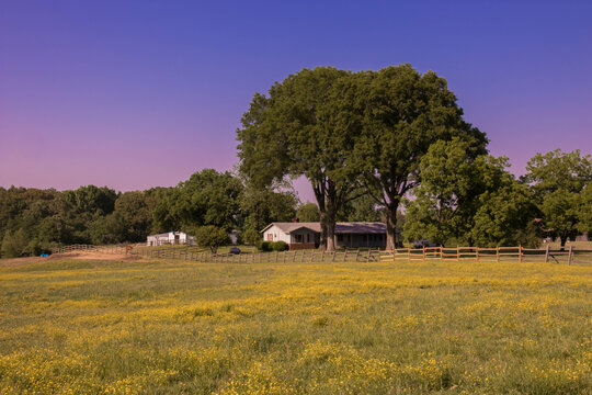 Mississippi Farm Houses