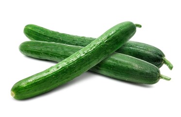 きゅうり イラスト リアル セット