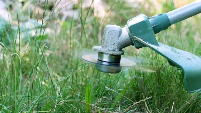 The gardener mows the lawn in the garden with a lawnmower. Grass trimmer. Lawn mowing.