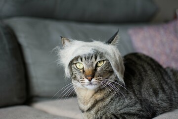 Max and his funny hairstyle
