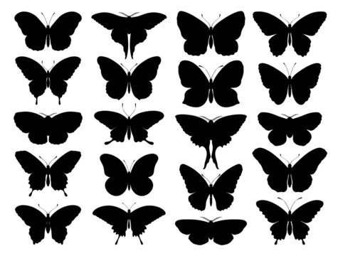 Black Butterfly Silhouettes Outline Romantic Tattoo Tropical Insects Stencil Isolated Set