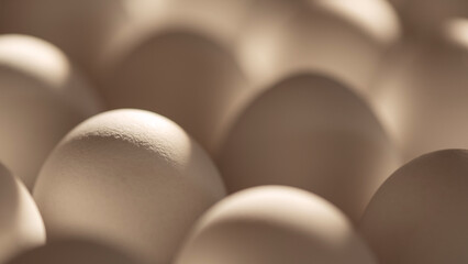 organic eggs with soft morning light, natural health food, light pastel colors, fair breeding,