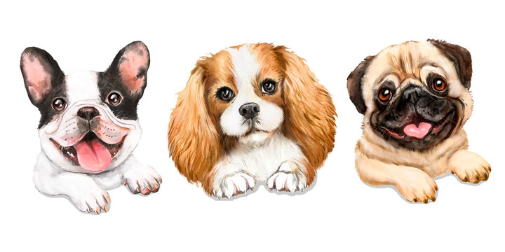 Watercolor illustration with dogs, set of three dogs, french bulldog, king charles cavalier spaniel, pug