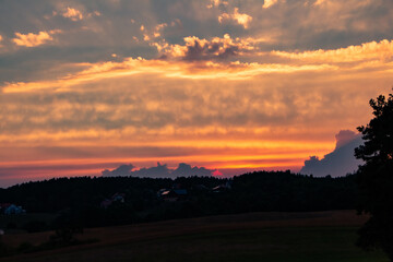 Fototapeta premium sunset in the field