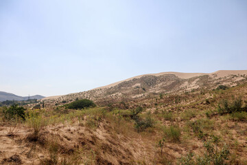 landscape in the desert - sand dune slopes covered by grass