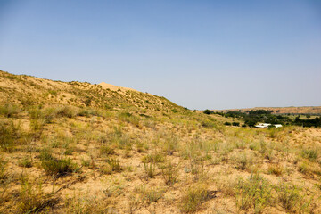 landscape in the desert - sand dune slopes covered by grass