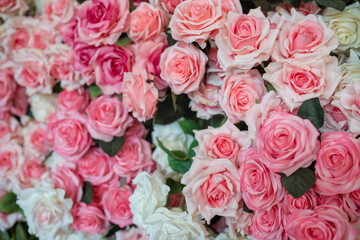 Obraz na płótnie Canvas Rose flower pattern background selective focus