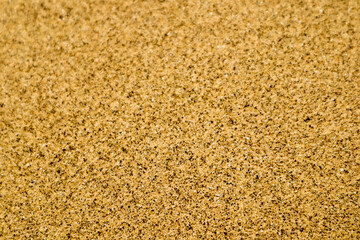 gold yellow desert dune sand texture background