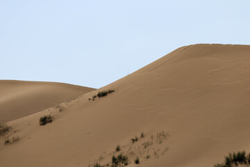 Fototapeta na wymiar sands of Sarykum - large sand dune located in the Dagestan