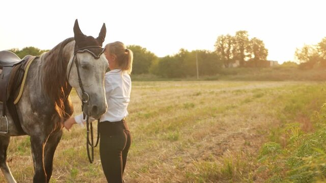 A beautiful woman loves her gray horse. Field at sunset, active lifestyle, outdoor. Freedom in nature. Friendship between people and animal, laughter, happiness, smile, tenderness and pleasure embrace
