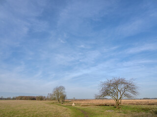 Obraz premium Dwingelerveld near Dwingeloo and Ruinen, Drenthe Province, The netherlands