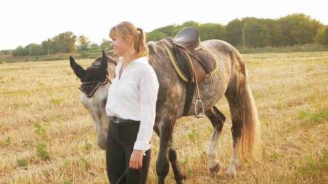 A beautiful female rider walks with her gray horse in a field at sunset. Love for the animal, friendship, respect, laughter, happiness and a smile. Freedom in nature outdoor, woman