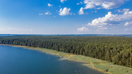 Lake in the forest top view
