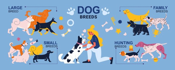 Dog Breeds Infographics