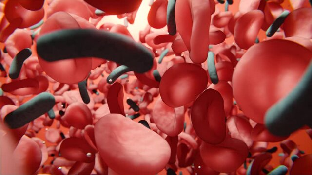Rote Blutk&ouml;rperchen und Bakterien in Blutkreislauf