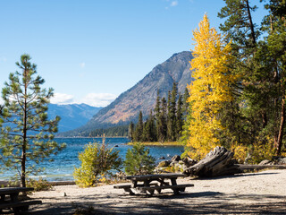 Fototapeta premium Fall foliage on the banks of Lake Wenatchee - Washington state, USA