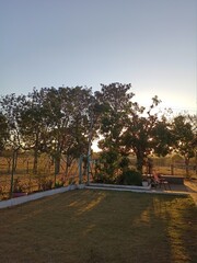 &aacute;rvores s&iacute;tio