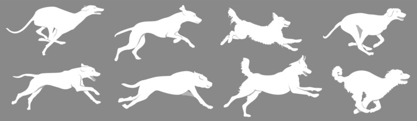 Laufende Hunde Running Dogs Weiße Silhouetten Zeichnungen Vektor Grafik