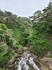 river in the mountains