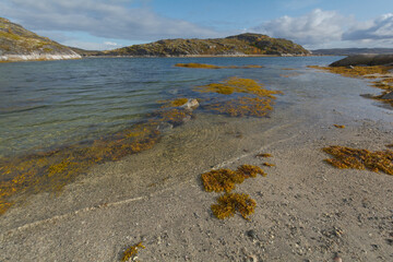 Bay, sandy beach and waves.