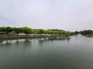 lake in the park