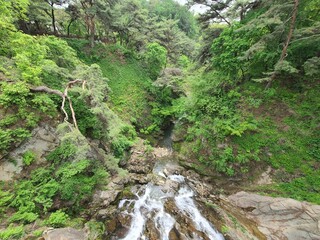 waterfall in the mountains