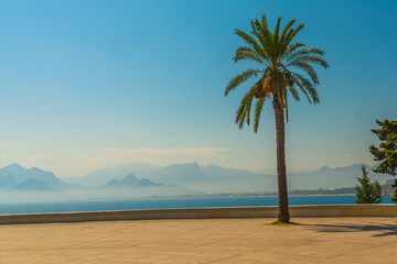 Obraz premium ANTALYA, TURKEY: Landscape in Karaalioglu park with a palm tree in the background of the mountains and the sea.
