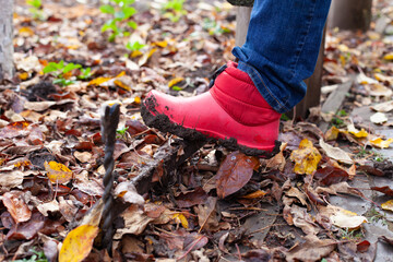 Boots on a shoe scraper. Dirty rubber boots are cleaned of dirt from the sole on the English traditional shoe scraper in the autumn garden. 