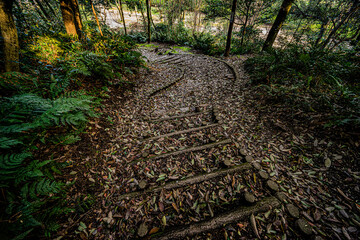 小牧山城山麓北側公園に通じる道