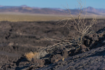 Pisgah Crater Mojave Desert Volcanic Cinder Cone and Lava Bed
