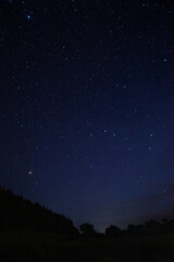 Obraz na płótnie Canvas starry night sky on a warm summer night