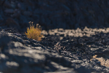 Pisgah Crater Mojave Desert Volcanic Cinder Cone and Lava Bed
